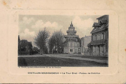 CHATILLON : La Tour Biret, Plateau De Châtillon - Très Bon état - Châtillon