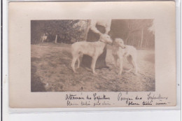 St-CYPRIEN : Carte Photo Chenil Du Domaine Des Capeillans Dressage Chiens Domaine Des Capeillans - Très Bon état - Saint Cyprien