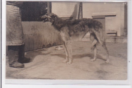 St-CYPRIEN : Carte Photo Chenil Du Domaine Des Capeillans Dressage Chiens Domaine Des Capeillans - Très Bon état - Saint Cyprien