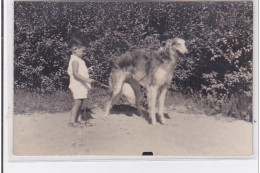 St-CYPRIEN : Carte Photo Chenil Du Domaine Des Capeillans Dressage Chiens Domaine Des Capeillans - Très Bon état - Saint Cyprien