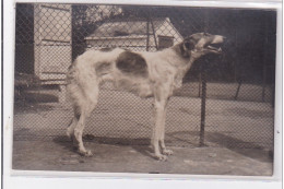 St-CYPRIEN : Carte Photo Chenil Du Domaine Des Capeillans Dressage Chiens Domaine Des Capeillans - Très Bon état - Saint Cyprien