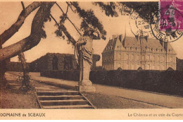 SCEAUX : Le Château Et Un Coin Du Caprice - Très Bon état - Sceaux