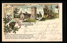 Lithographie Thale, Gasthaus Forsthaus Georgshöhe Mit Aussichtsturm, Eber Und Hirschen  - Hunting