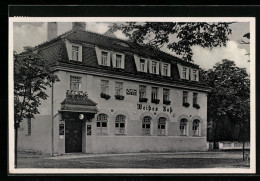 AK Krossen /Elster, Hotel Weisses Ross Von P. Munkelt  - Other & Unclassified