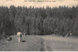 MAICHE : Etang Et Foret De Goule - Tres Bon Etat - Other & Unclassified