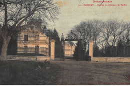 SANSSAT : Entrée Du Chateau De Teillat - Etat - Other & Unclassified