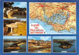 56-LE GOLFE DU MORBIHAN-N°4203-C/0009 - Other & Unclassified