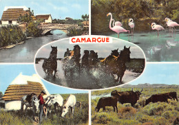 13-LA CAMARGUE-N°4203-B/0077 - Other & Unclassified