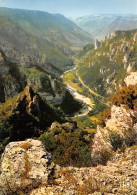 48-GORGES DU TARN-N°4203-A/0335 - Gorges Du Tarn