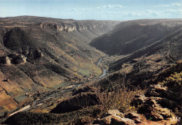 48-GORGES DU TARN-N°4203-A/0305 - Gorges Du Tarn