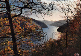 19-GORGES DE LA DORDOGNE-N°4203-A/0277 - Andere & Zonder Classificatie