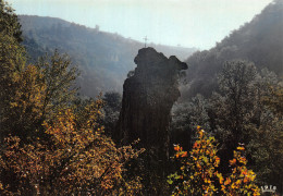 12-LE ROCHER DU DUC-N°4203-A/0275 - Sonstige & Ohne Zuordnung