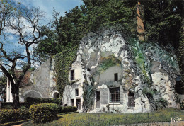 37-TOURAINE MAISON TROGLODYTE-N°4203-A/0005 - Andere & Zonder Classificatie