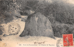 77-FONTAINEBLEAU LA FORET LE CHAPEAU DE NAPOLEON-N°5148-H/0169 - Fontainebleau