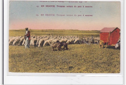 EN BEAUCE : Troupeau Sortant Du Parc A Moutons - Tres Bon Etat - Sonstige & Ohne Zuordnung