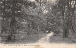 77-FONTAINEBLEAU ROUTE DU MONT USSY-N°5148-F/0287 - Fontainebleau