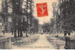 JOINVILLE : Promenade Du Petit Bois - Tres Bon Etat - Joinville