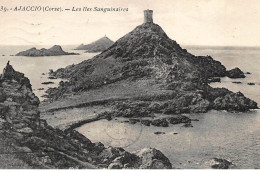 AJACCIO : La Tour De La Parata Et Les Iles Sanguinaires - Etat - Ajaccio