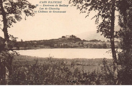 CHAVOLEY : Lac De Chavoley Et Chateau De Grammont - Tres Bon Etat - Ohne Zuordnung
