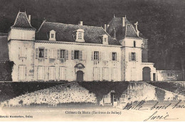 Env. BELLEY : Chateau De Musin - Tres Bon Etat - Unclassified