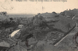 COLIGNY : Vestiges De L'ancien Chateau De L'amiral De Coligny - Etat - Ohne Zuordnung