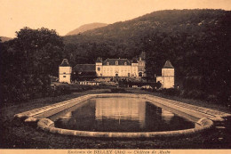 Env. BELLEY : Chateau De Musin - Tres Bon Etat - Ohne Zuordnung