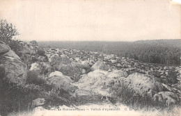 77-FONTAINEBLEAU-N°4203-E/0195 - Fontainebleau