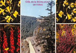 88-LE COL DE LA SCHLUCHT-N°4203-D/0371 - Sonstige & Ohne Zuordnung