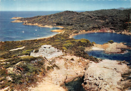 83-PORQUEROLLES -N°4203-C/0307 - Porquerolles