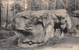 77-FONTAINEBLEAU LA FORET-N°5149-B/0365 - Fontainebleau