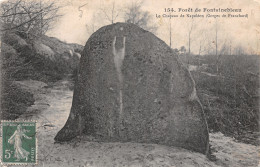 77-FONTAINEBLEAU LA FORET-N°5149-B/0243 - Fontainebleau