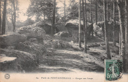 77-FONTAINEBLEAU LA FORET-N°5149-B/0063 - Fontainebleau