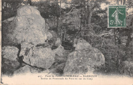 77-FONTAINEBLEAU LA FORET-N°5149-A/0003 - Fontainebleau