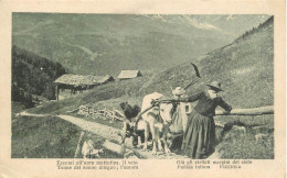 Postcard Italy Picciola Agriculture - Other & Unclassified