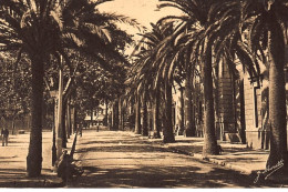 AJACCIO : Avenue Du Premier Consul - Tes Bon Etat - Ajaccio