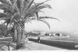 AJACCIO : Boulevard Albert 1er - Etat - Ajaccio