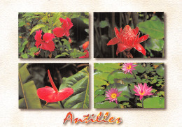 972-MARTINIQUE FLEURS TROPICALES-N°4204-C/0027 - Altri & Non Classificati