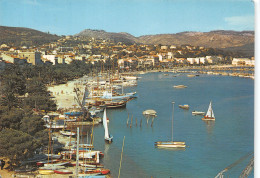 83-BANDOL-N°4204-B/0391 - Bandol