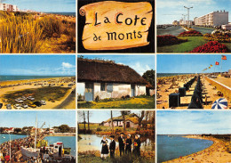 85-LA COTE DE MONTS-N°4204-A/0153 - Autres & Non Classés