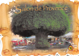 13-SALON DE PROVENCE-N°4204-A/0055 - Salon De Provence