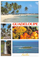 971-GUADELOUPE-N°4204-A/0047 - Andere & Zonder Classificatie