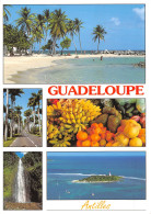 971-GUADELOUPE-N°4204-A/0047 - Autres & Non Classés