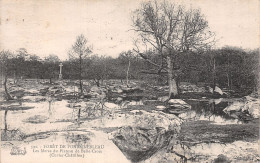 77-FONTAINEBLEAU LA FORET-N°5149-E/0191 - Fontainebleau