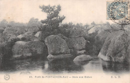 77-FONTAINEBLEAU LA FORET-N°5149-D/0347 - Fontainebleau