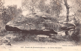 77-FONTAINEBLEAU LA FORET-N°5149-C/0353 - Fontainebleau