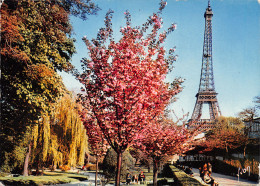 75-PARIS TOUR EIFFEL-N°4205-A/0073 - Eiffeltoren