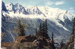 74-CHAMONIX MONT BLANC-N°4204-D/0303 - Chamonix-Mont-Blanc