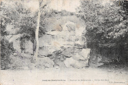 77-FONTAINEBLEAU LA FORET-N°5149-G/0095 - Fontainebleau