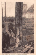 DANS LES LANDES - Cramponnage Des Pins - Très Bon état - Other & Unclassified