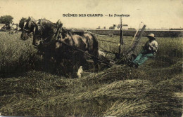 SCENES DES CHAMPS Le Faucgage Chevaux Attelés Colorisée RV - Cultivation